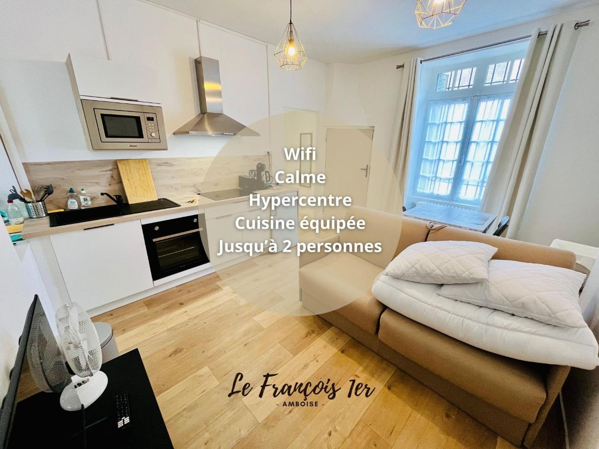 Le Francois 1Er - Studio Entre Loire Et Chateau Royal - Manoir De La Concorde Amboise Eksteriør billede