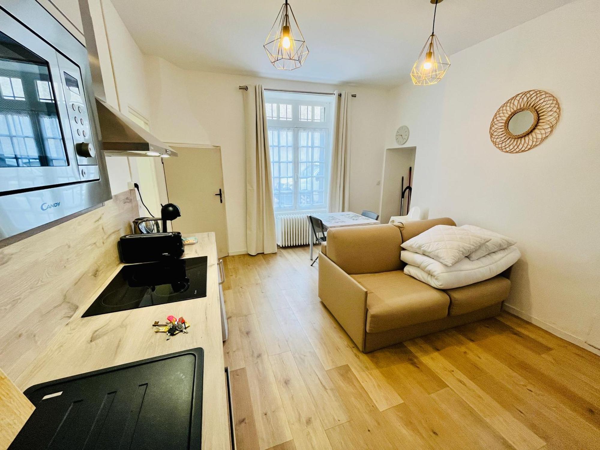 Le Francois 1Er - Studio Entre Loire Et Chateau Royal - Manoir De La Concorde Amboise Eksteriør billede